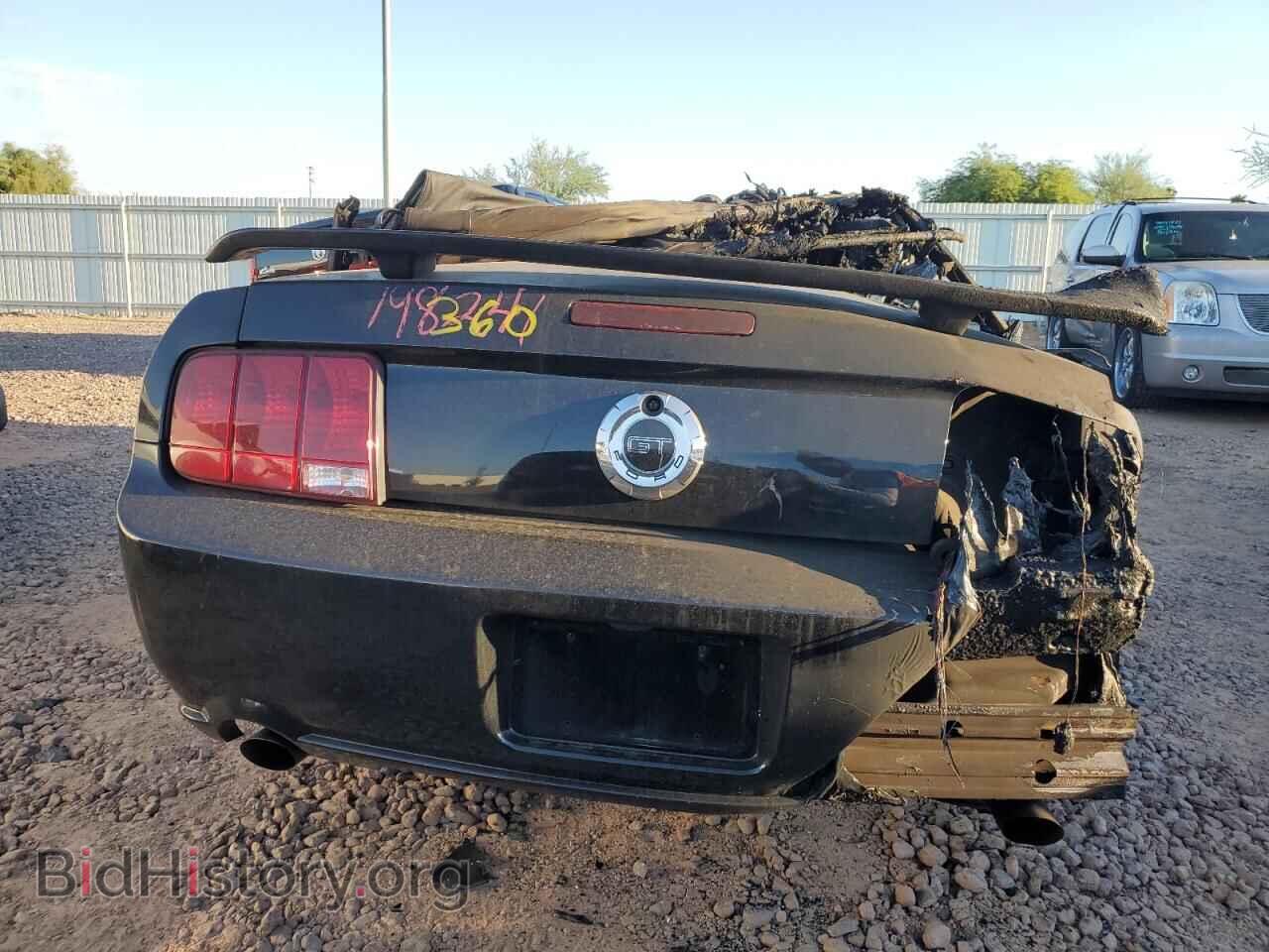 2006 FORD MUSTANG - VIN: 1ZVHT85H065198241 - Фото 6
