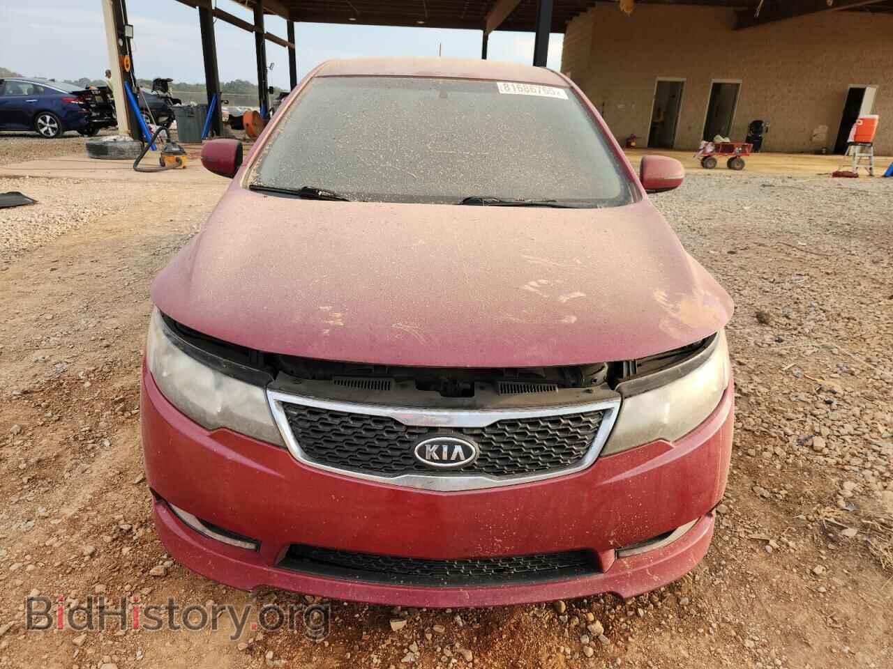 2013 KIA FORTE - VIN: KNAFW4A33D5739135 - Фото 5