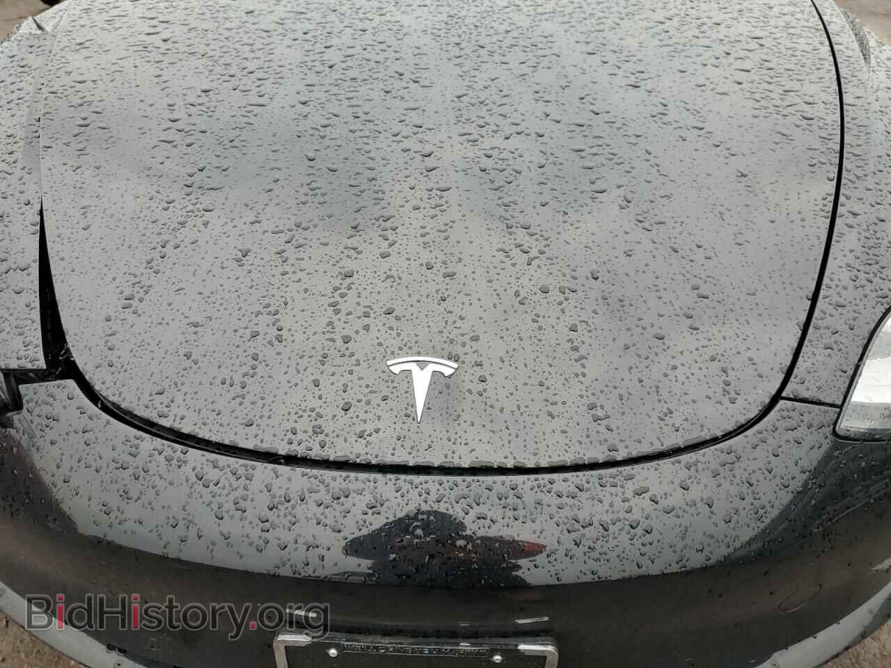 2019 TESLA MODEL 3 - VIN: 5YJ3E1EA0KF317562 - Фото 11