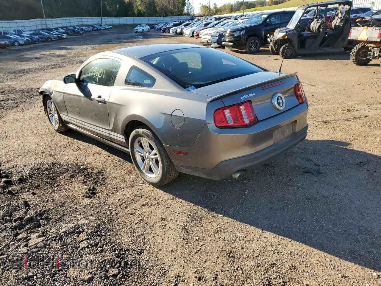 2011 FORD ALL Models - VIN: 1ZVBP8AM2B5116565 - Photo 2