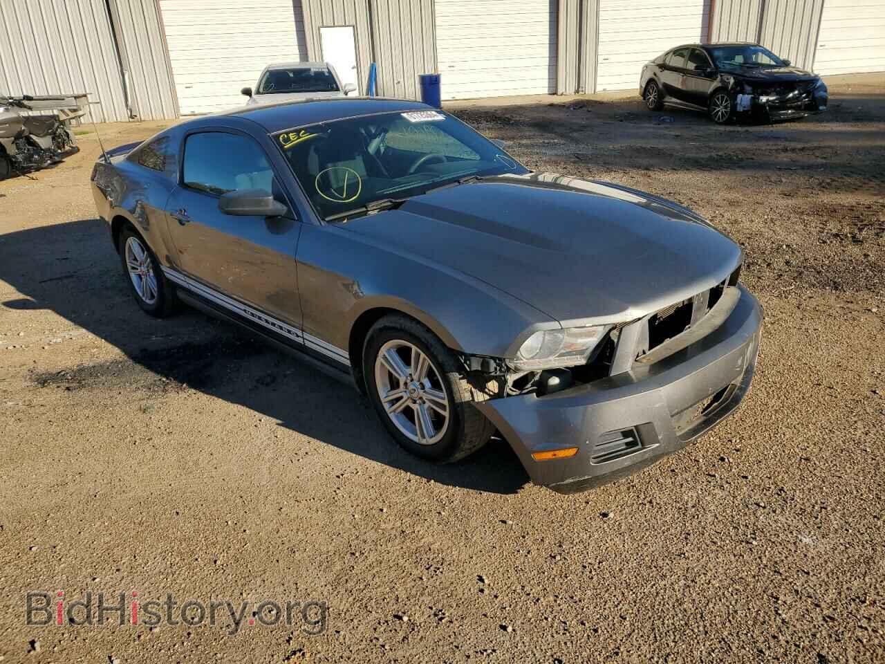 2011 FORD ALL Models - VIN: 1ZVBP8AM2B5116565 - Photo 4