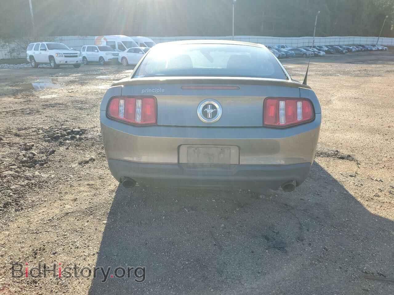2011 FORD ALL Models - VIN: 1ZVBP8AM2B5116565 - Photo 6