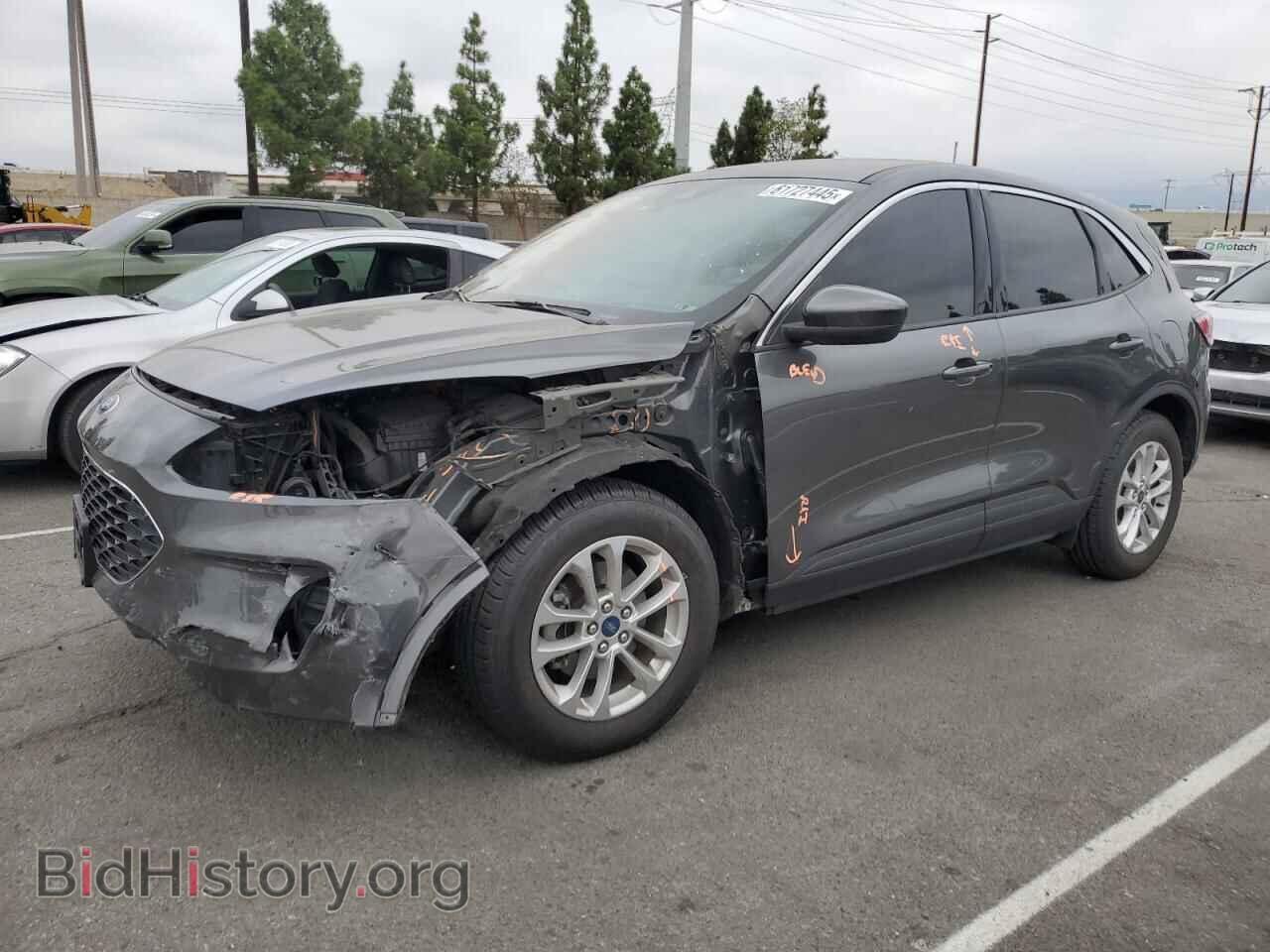 Photo 1FMCU0G66LUA57226 - FORD ESCAPE 2020