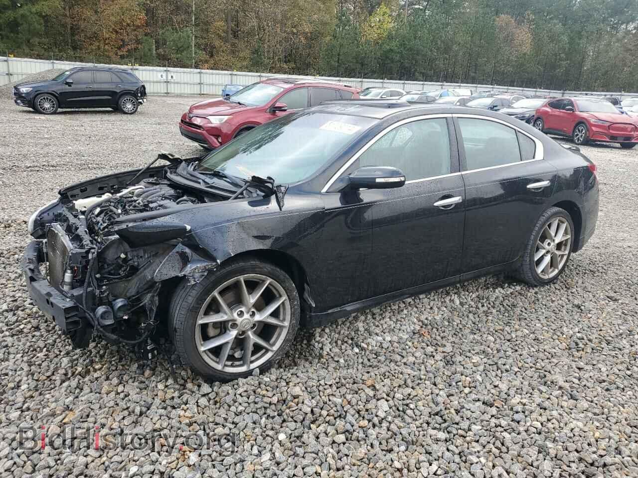 Photo 1N4AA5AP1BC840631 - NISSAN MAXIMA 2011