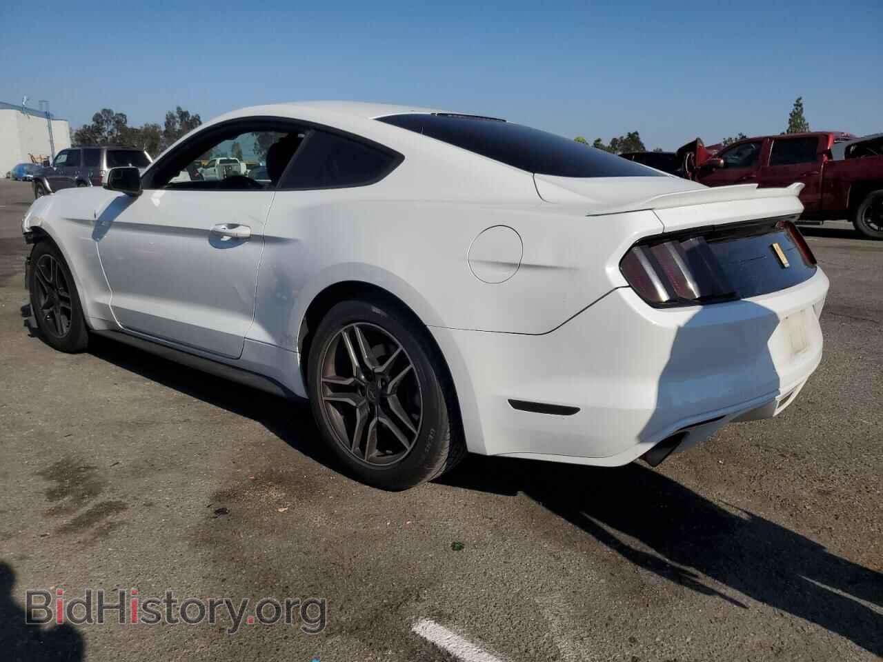 2017 FORD ALL Models - VIN: 1FA6P8AMXH5210504 - Фото 2