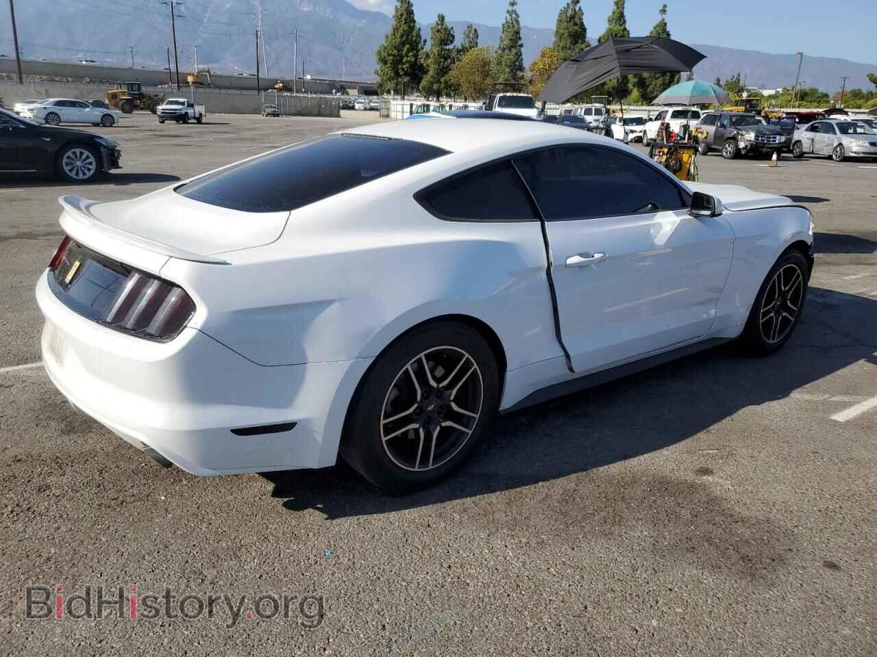 2017 FORD ALL Models - VIN: 1FA6P8AMXH5210504 - Фото 3