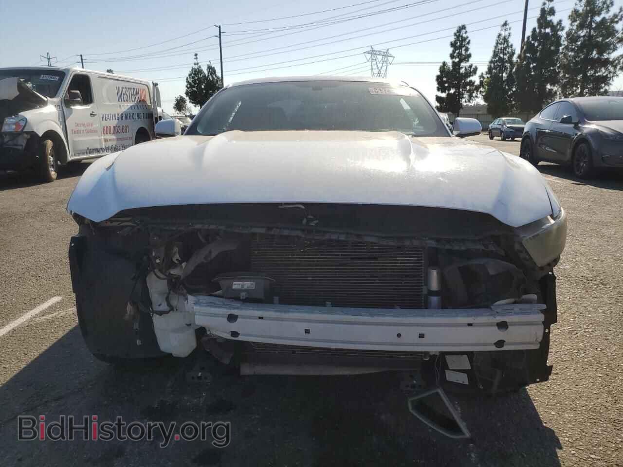 2017 FORD ALL Models - VIN: 1FA6P8AMXH5210504 - Фото 5