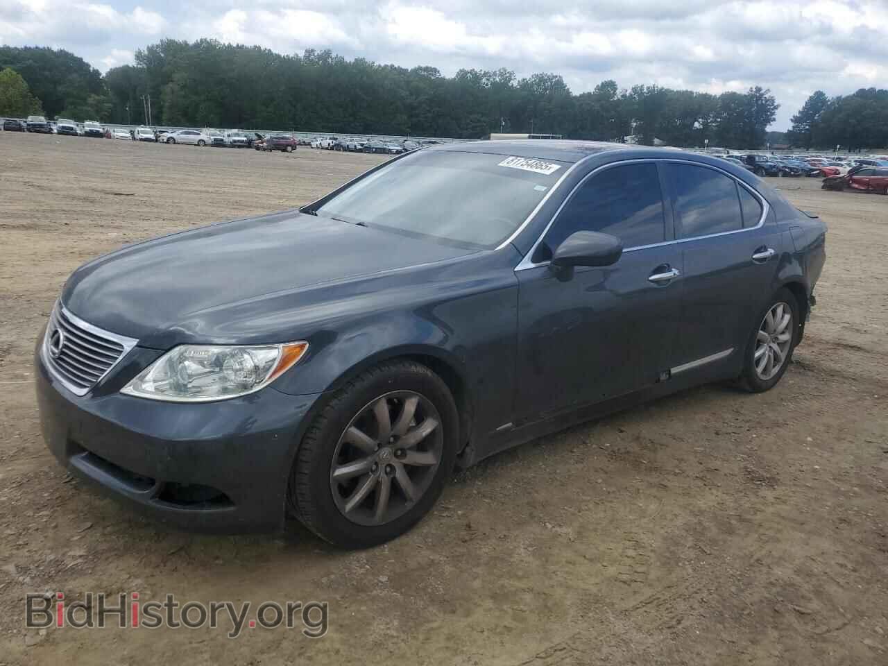 Photo JTHBL46F685073776 - LEXUS LS460 2008