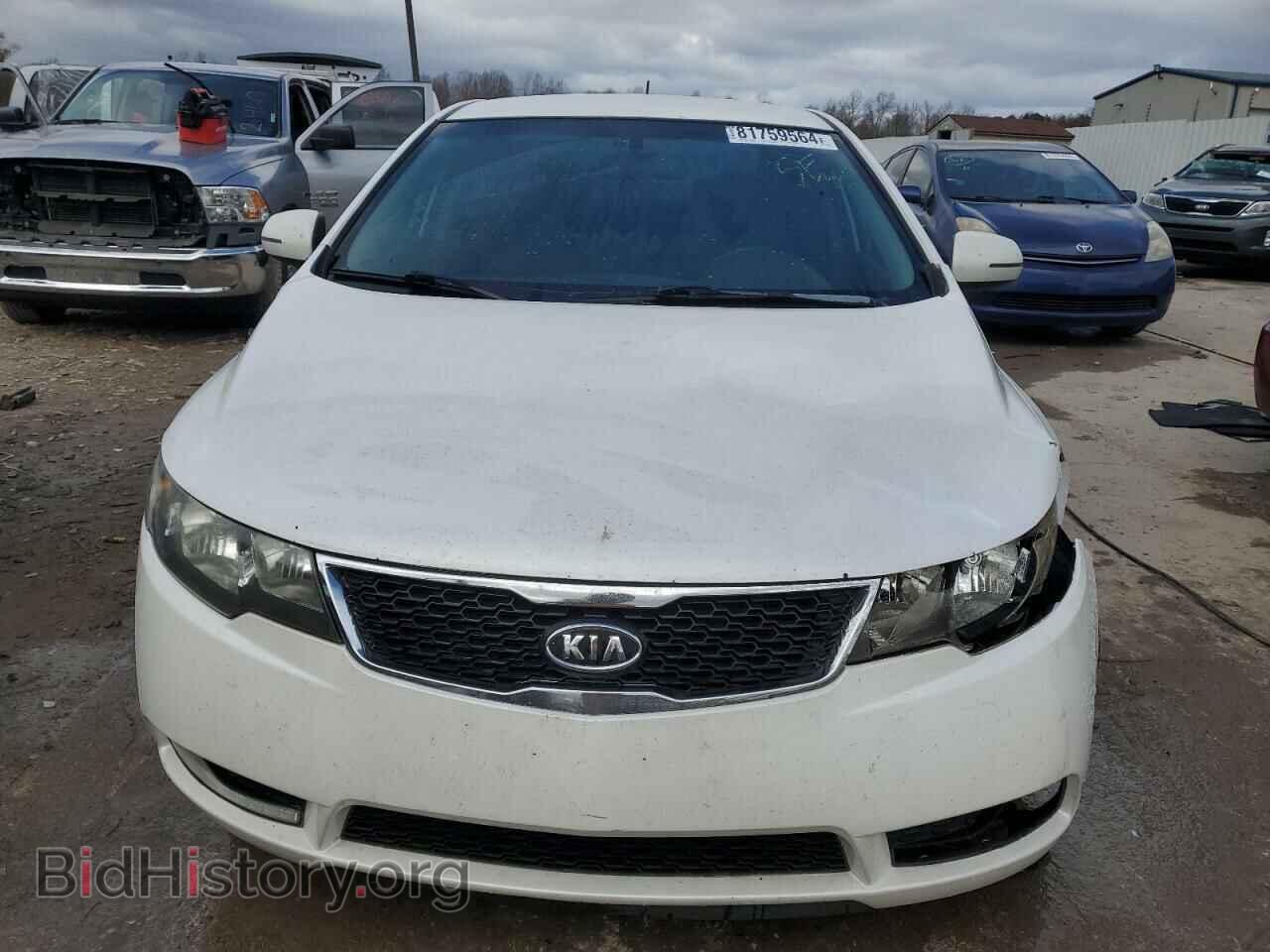 2013 KIA FORTE - VIN: KNAFW4A32D5737361 - Фото 5