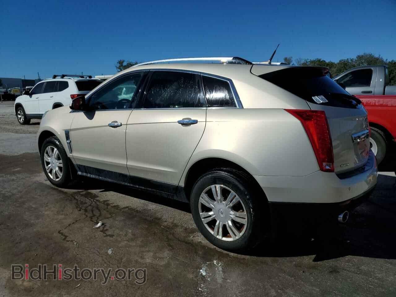 2011 CADILLAC SRX - VIN: 3GYFNAEY7BS519763 - Фото 2