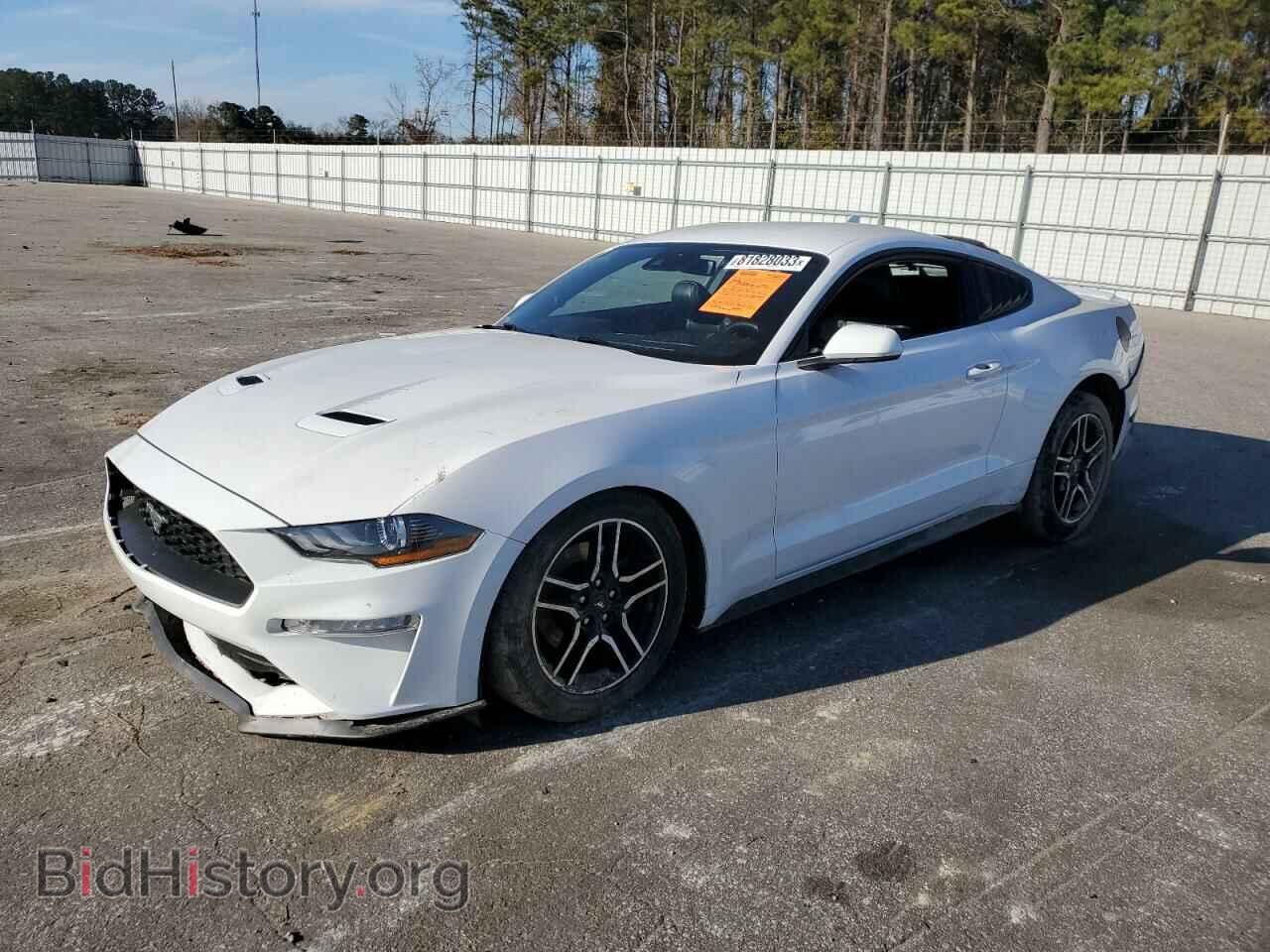 Фотография 1FA6P8TH7M5114081 - FORD ALL Models 2021