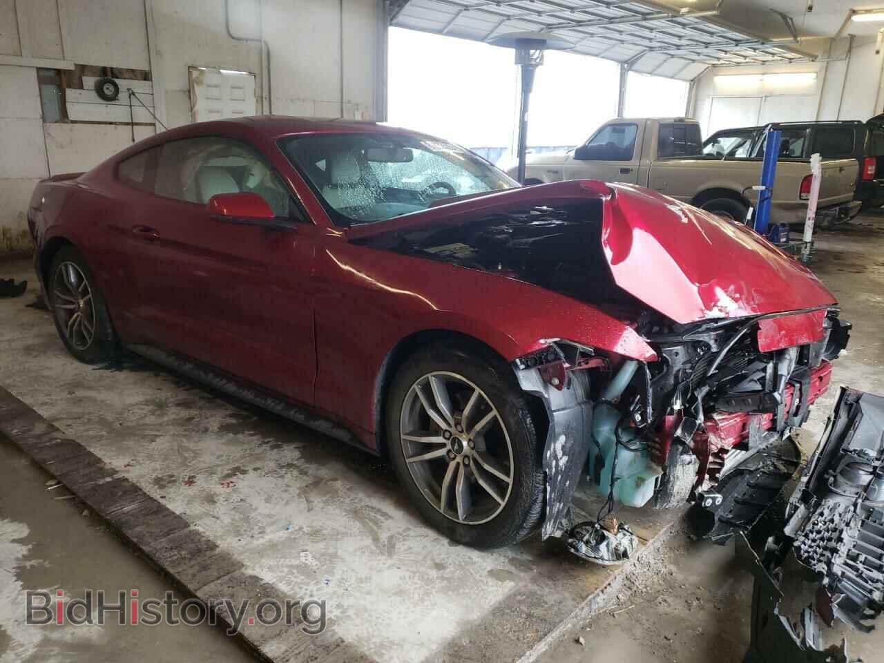 2015 FORD ALL Models - VIN: 1FA6P8TH7F5366108 - Фото 4