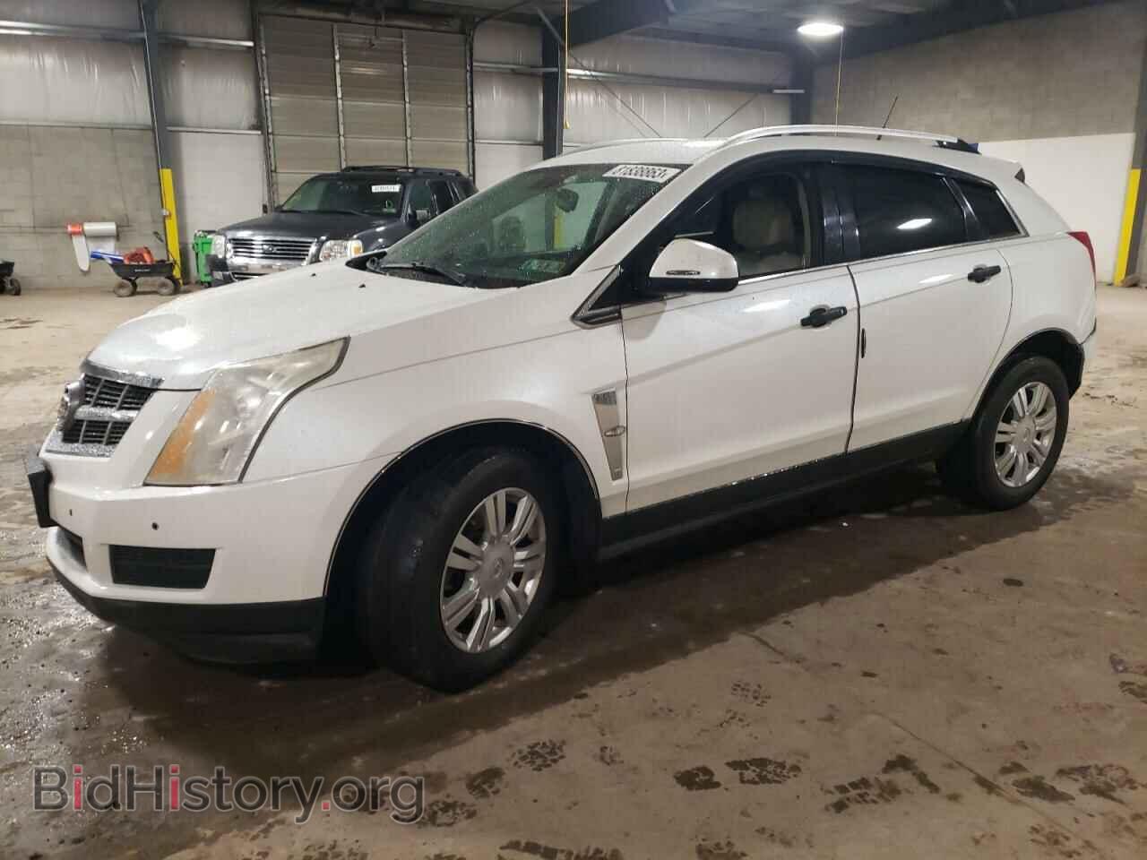Фотография 3GYFNAE33CS567525 - CADILLAC SRX 2012