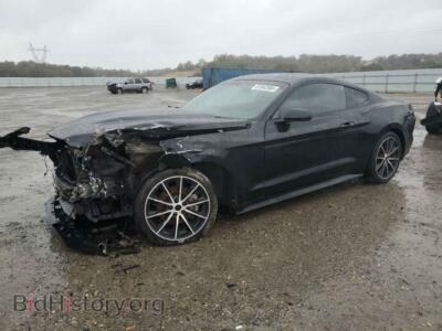 2017 Ford ALL MODELS, черный — VIN 1FA6P8THXH5334157, Copart