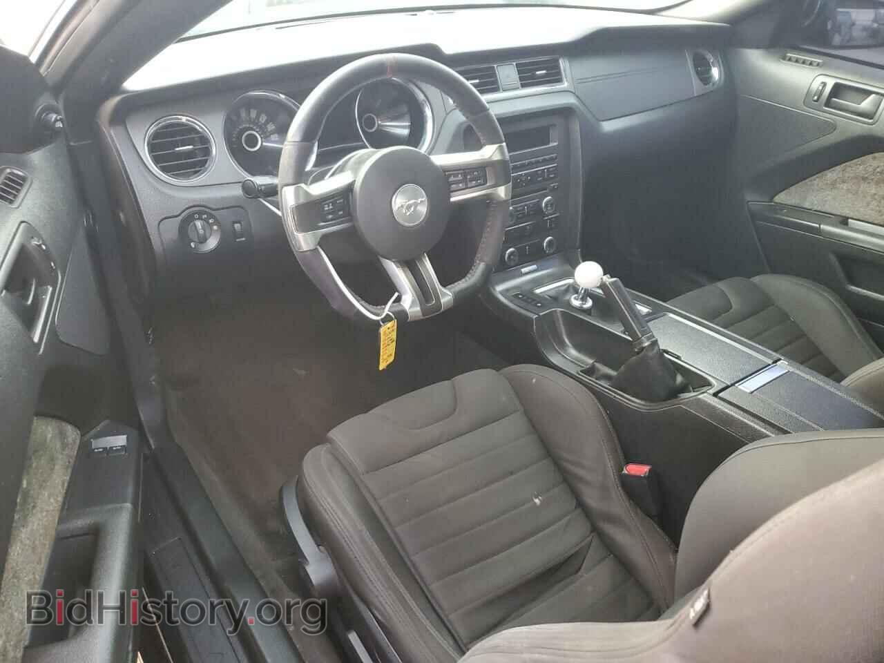 2013 FORD MUSTANG - VIN: 1ZVBP8CF3D5200735 - Фото 8