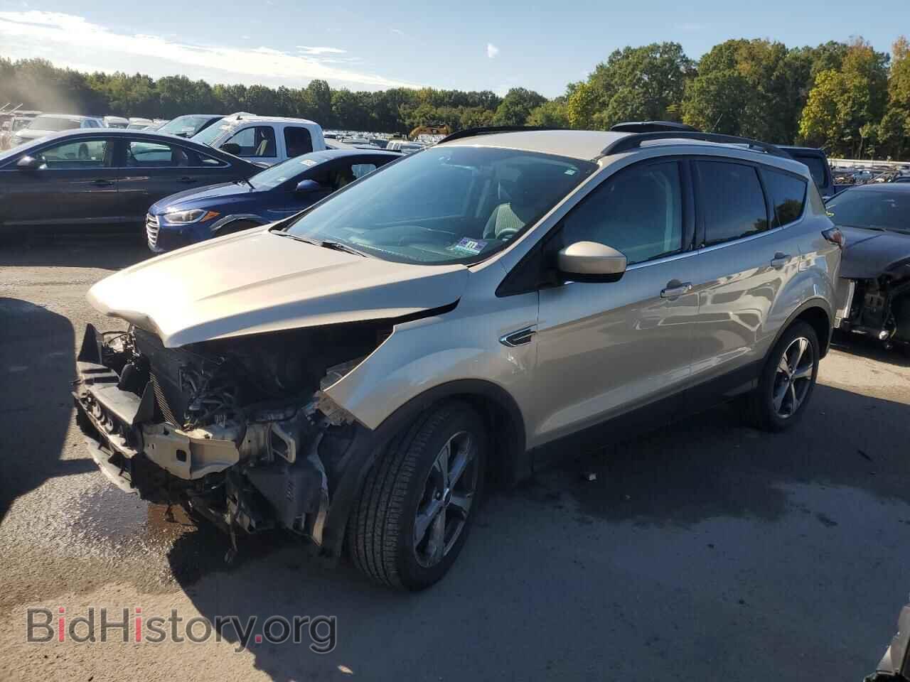 Фотография 1FMCU0GD2HUE20272 - FORD ESCAPE 2017