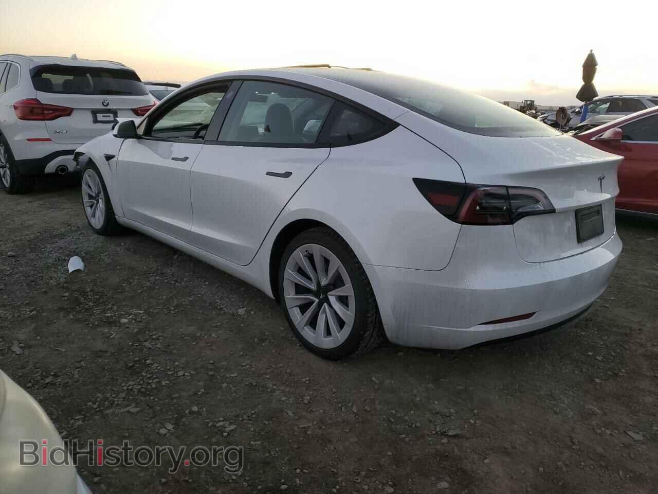 2023 TESLA MODEL 3 - VIN: 5YJ3E1EA5PF610249 - Фото 2