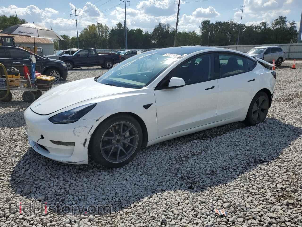 Photo 5YJ3E1EA3PF606782 - TESLA MODEL 3 2023