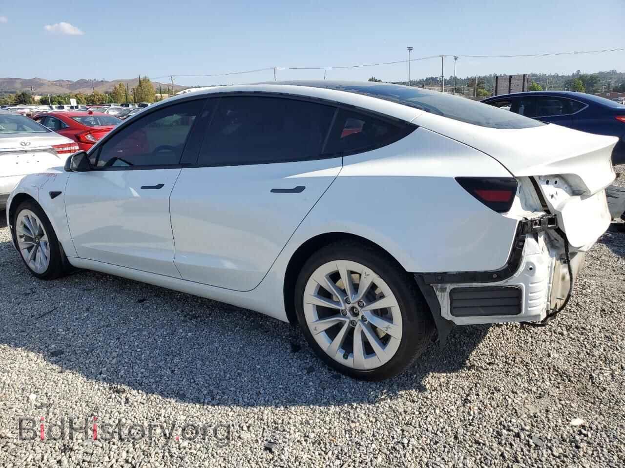2023 TESLA MODEL 3 - VIN: 5YJ3E1EA4PF567555 - Photo 2