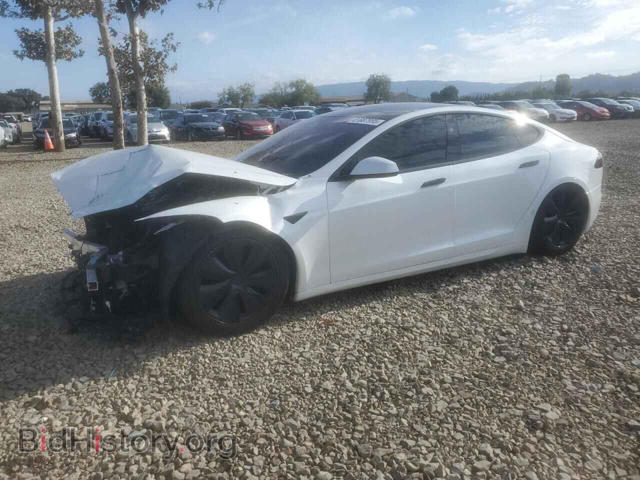Фотография 5YJSA1E54PF519015 - TESLA MODEL S 2023