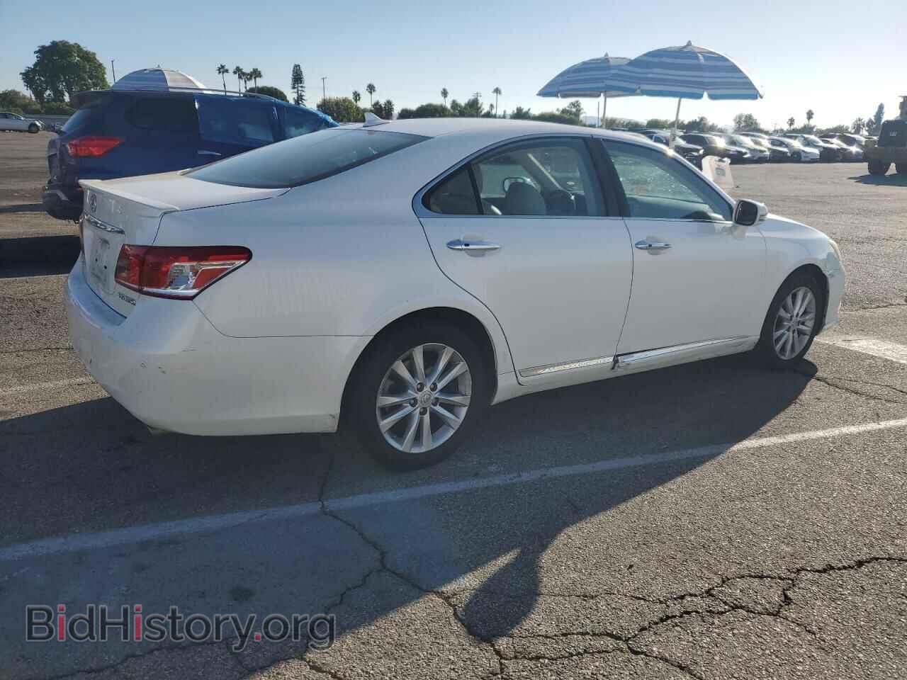 2010 LEXUS ES350 - VIN: JTHBK1EG3A2343565 - Фото 3