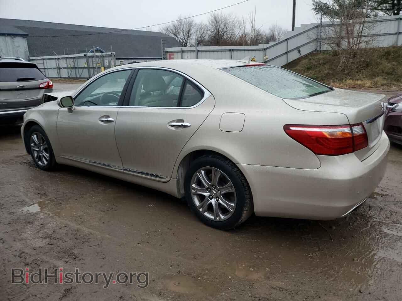 2011 LEXUS LS460 - VIN: JTHCL5EF8B5010830 - Photo 2