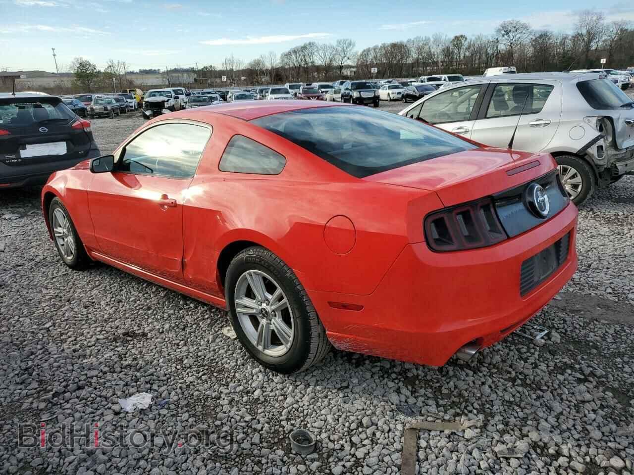 2013 FORD ALL Models - VIN: 1ZVBP8AM8D5243646 - Фото 2