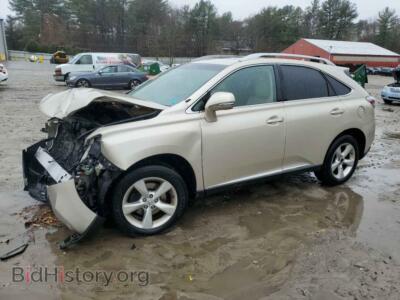 2011 Lexus RX350 350, бежевый — VIN 2T2BK1BA8BC091831, Copart