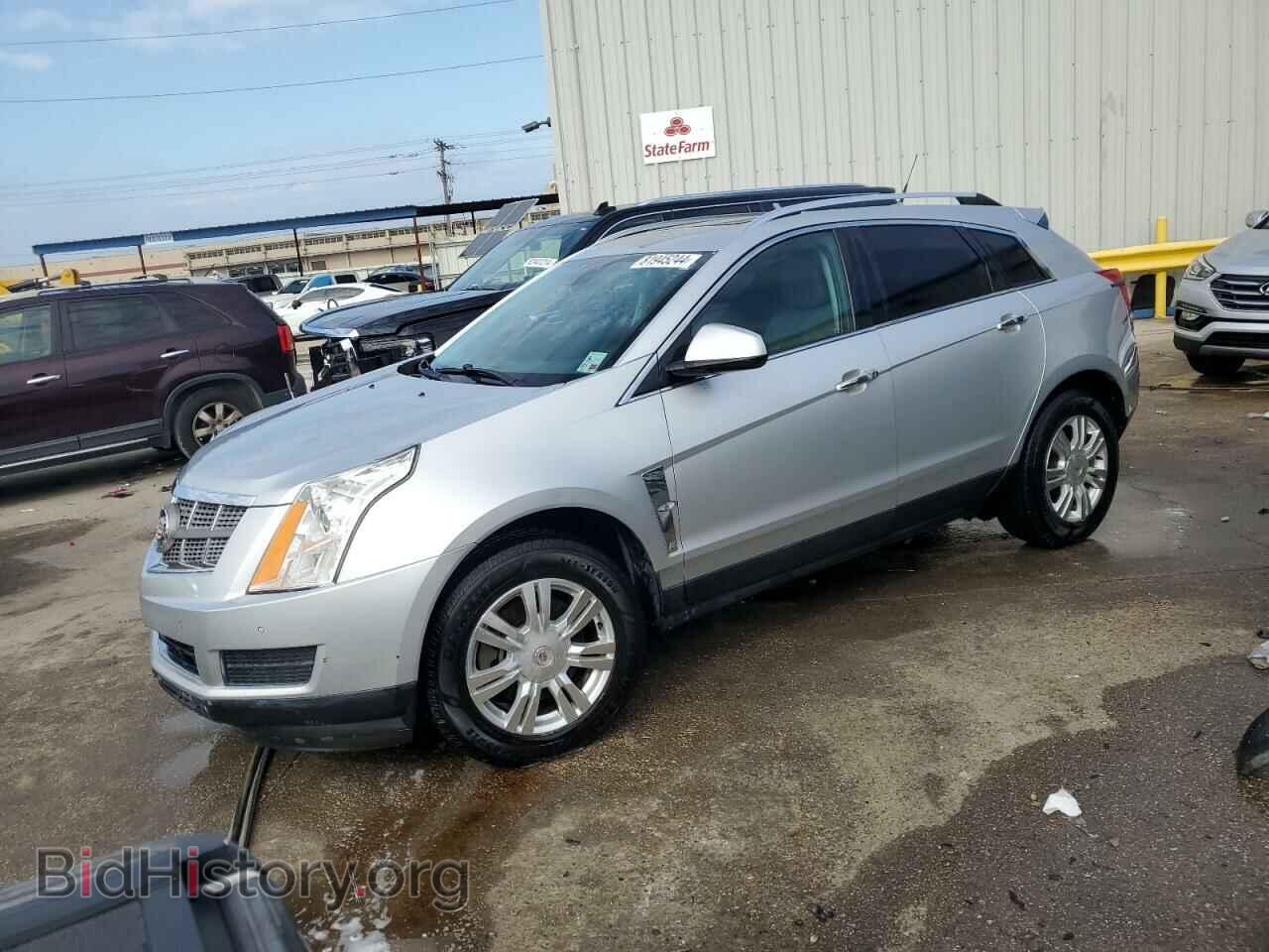 Photo 3GYFNAEY1BS668993 - CADILLAC SRX 2011