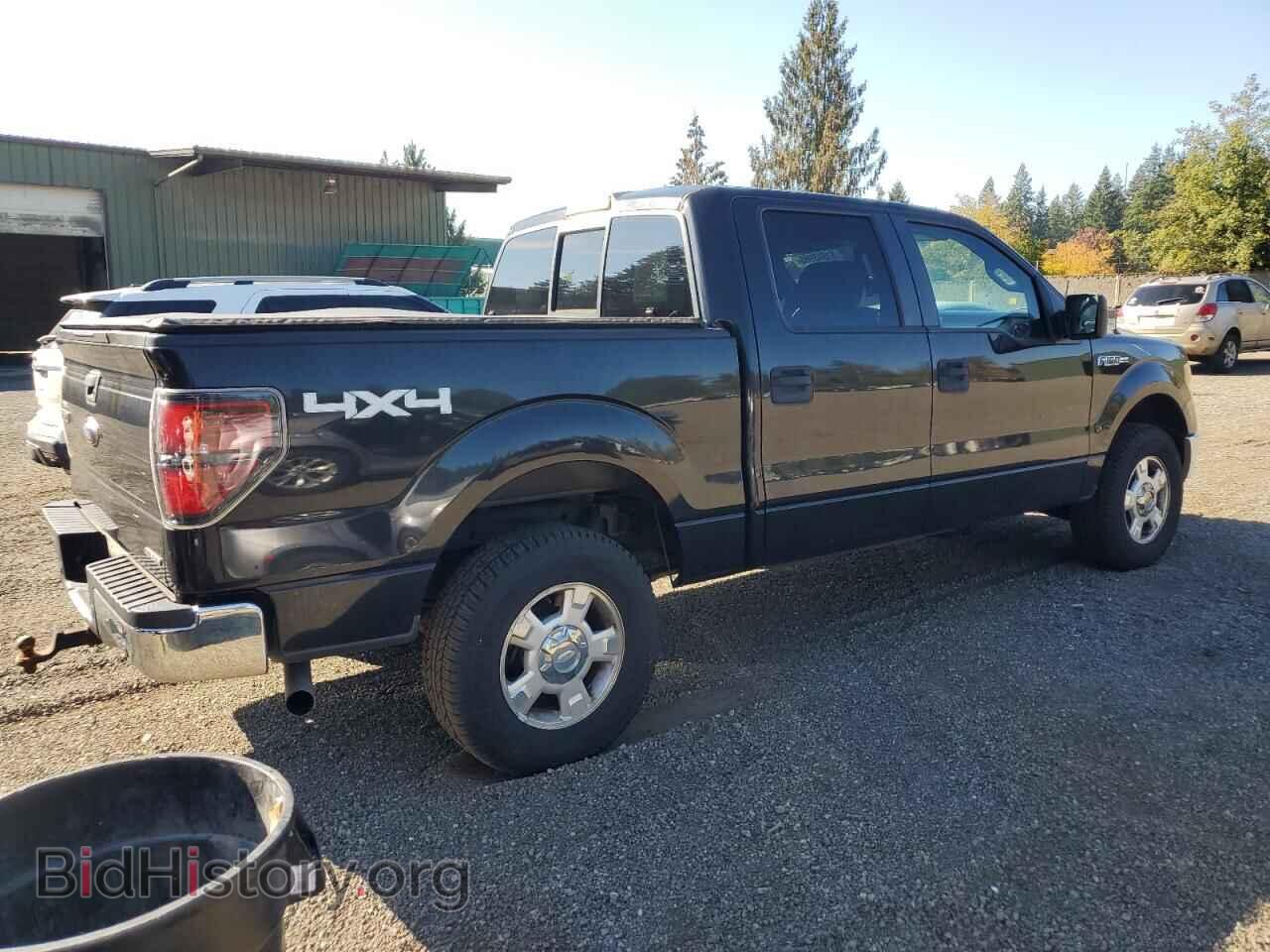 2012 FORD F-150 - VIN: 1FTFW1EF0CFC69077 - Фото 3