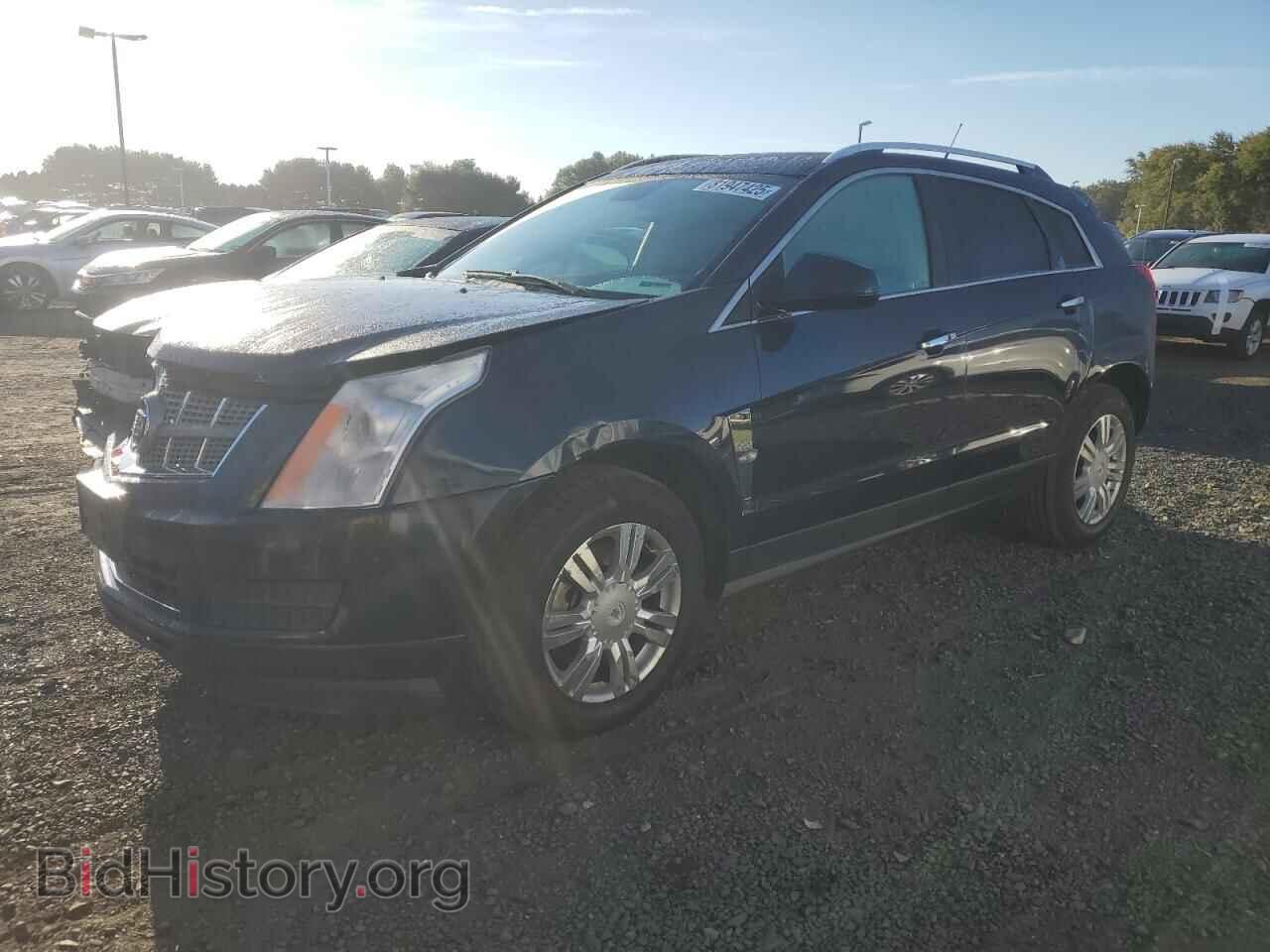 Photo 3GYFNDEY8BS570934 - CADILLAC SRX 2011