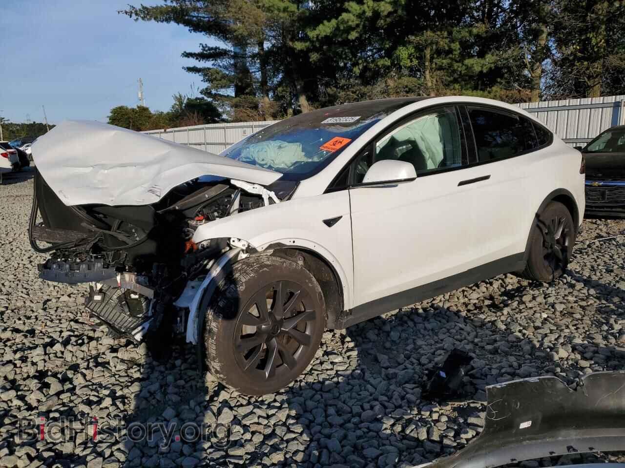 Photo 7SAXCBE54RF459703 - TESLA MODEL X 2024