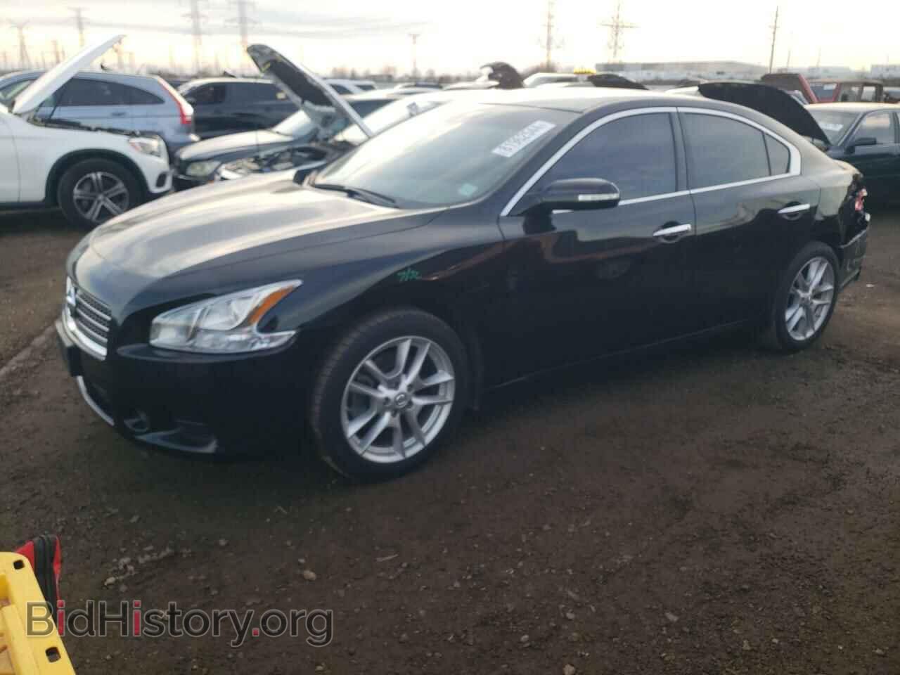 Фотография 1N4AA51E69C846255 - NISSAN MAXIMA 2009