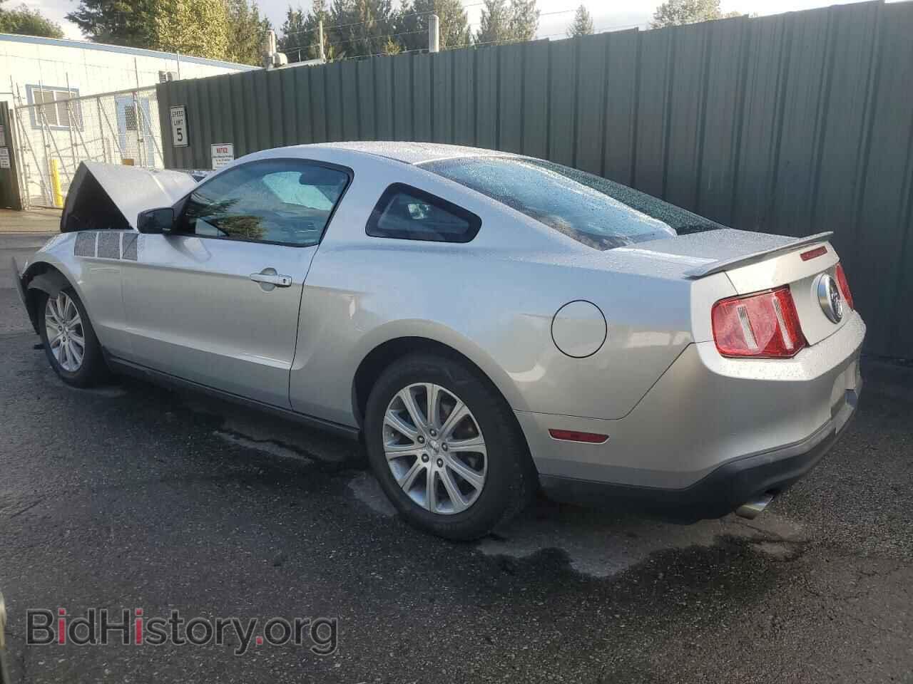 2011 FORD ALL Models - VIN: 1ZVBP8AM5B5119671 - Фото 2