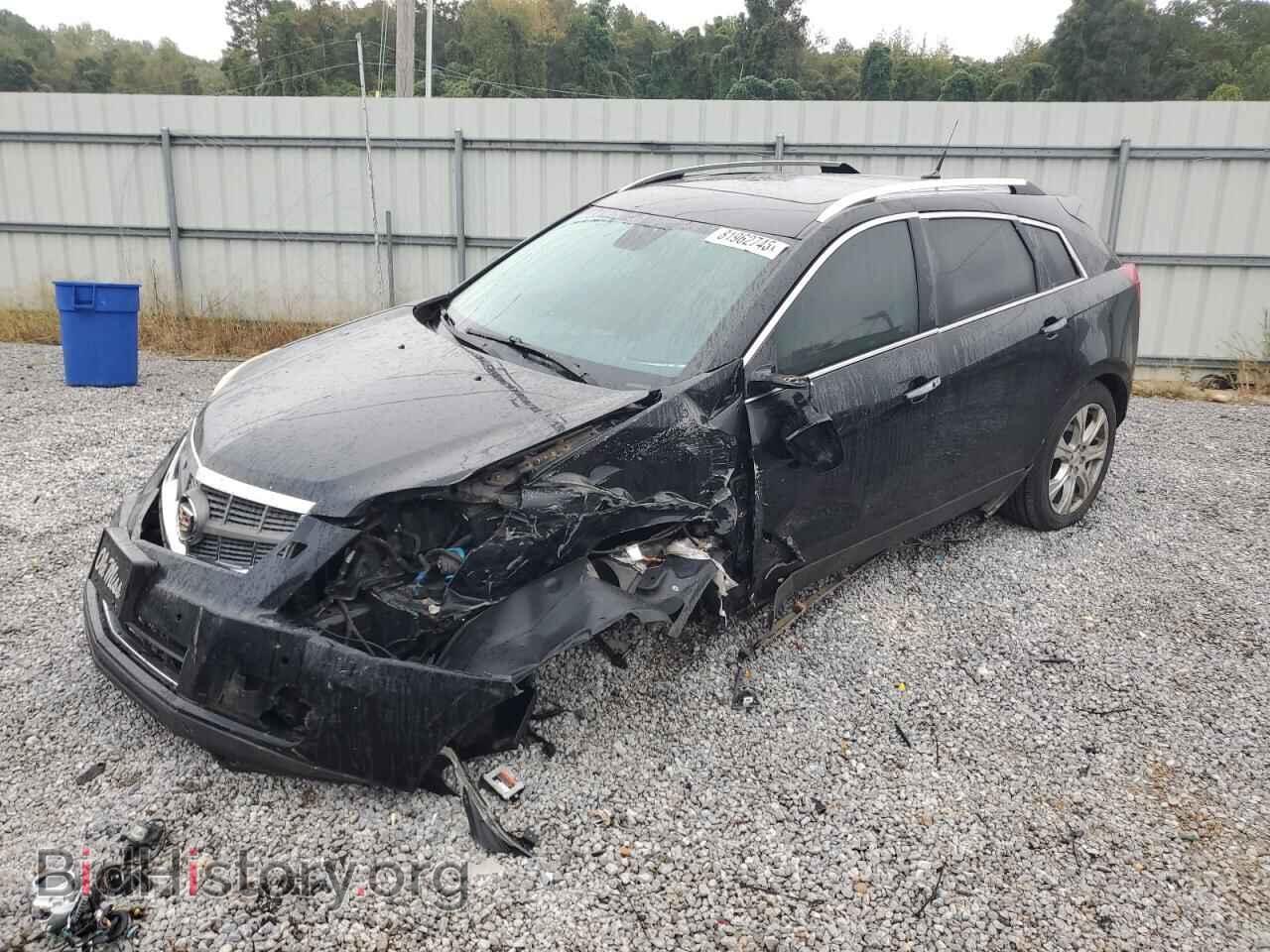 Photo 3GYFNFEY4AS524348 - CADILLAC SRX 2010