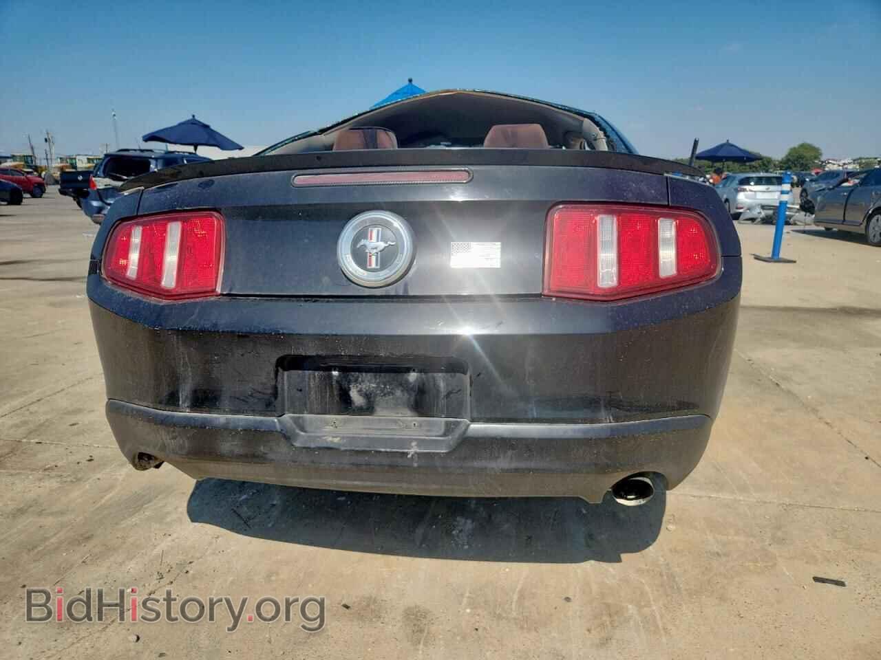 2011 FORD ALL Models - VIN: 1ZVBP8AM5B5110663 - Фото 6