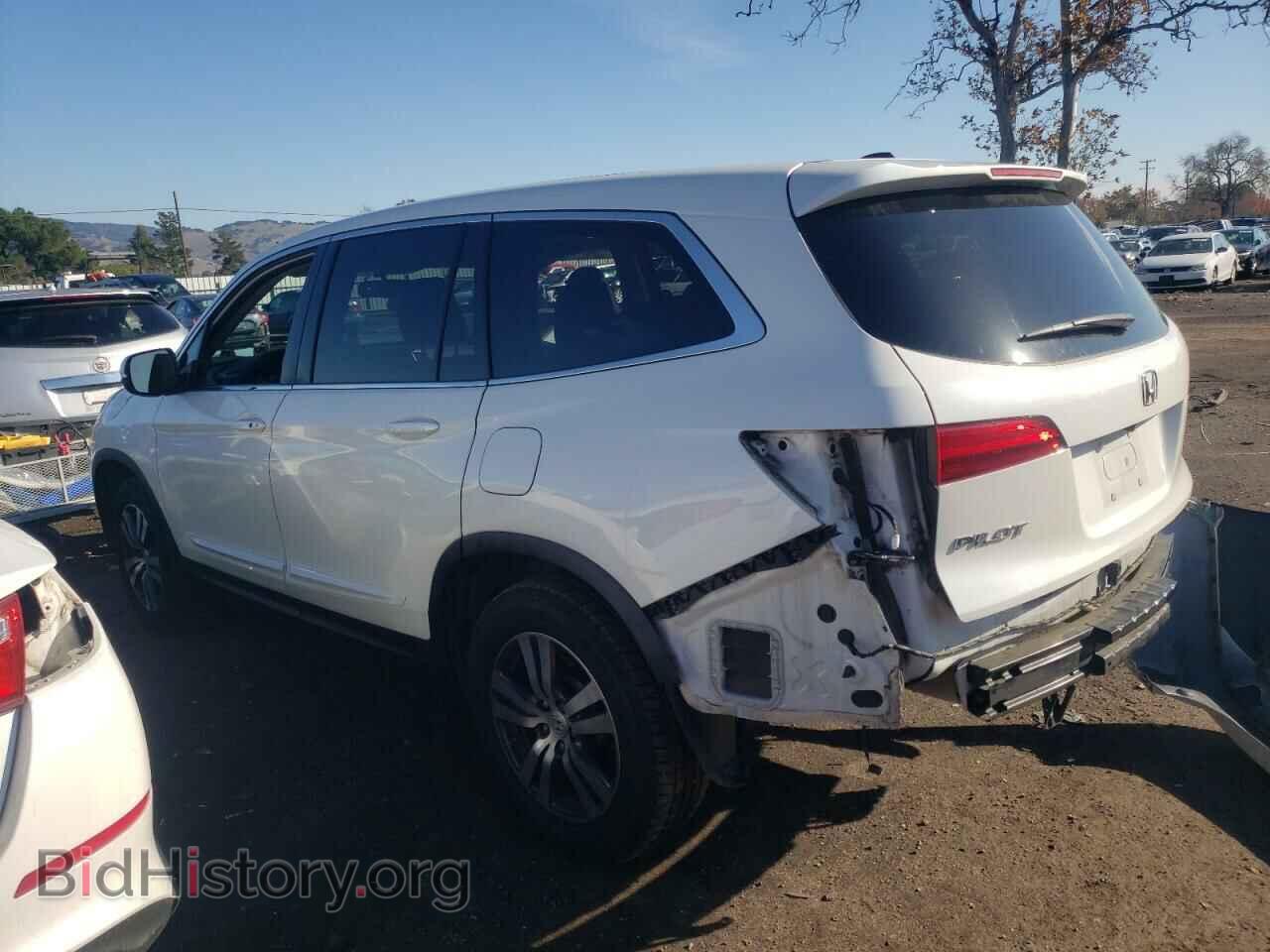 2017 HONDA PILOT - VIN: 5FNYF5H58HB035865 - Фото 2