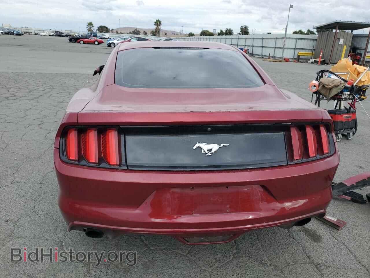 2017 FORD ALL Models - VIN: 1FA6P8THXH5269455 - Photo 6