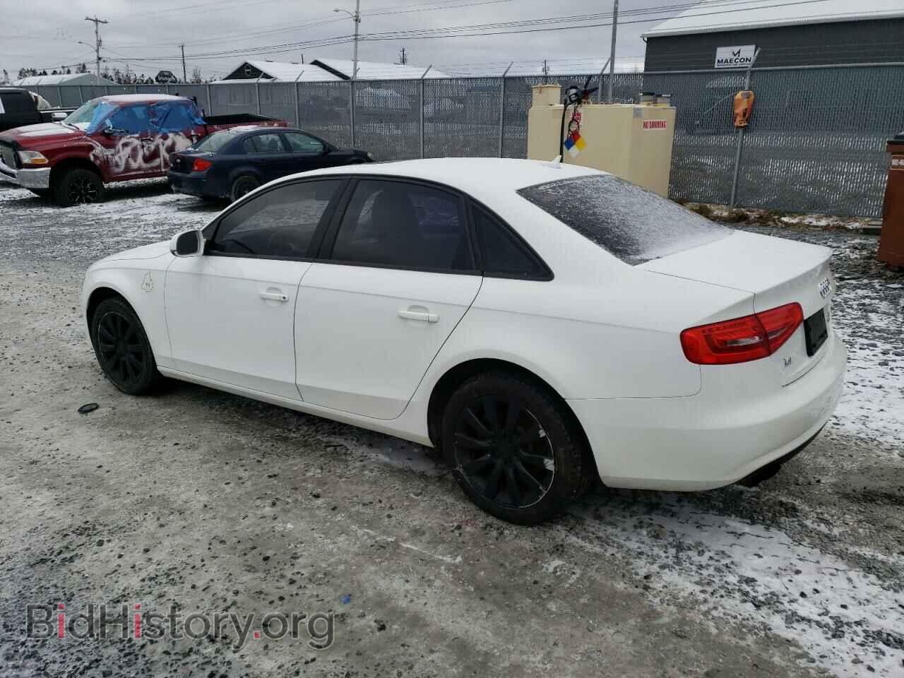 2013 AUDI A4 - VIN: WAUBFCFL3DN023448 - Фото 2