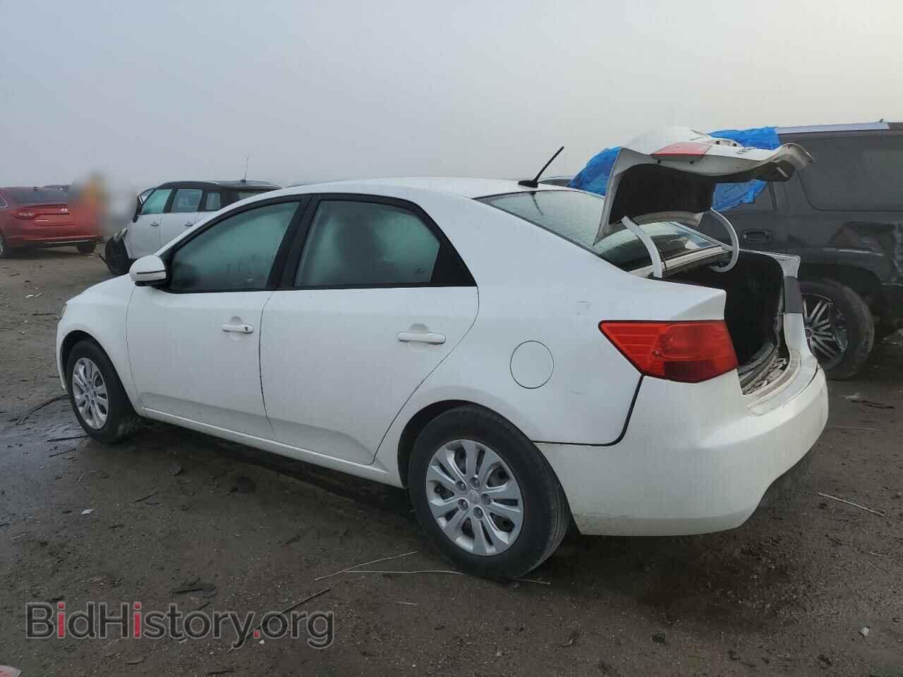 2013 KIA FORTE - VIN: KNAFU4A26D5645957 - Фото 2