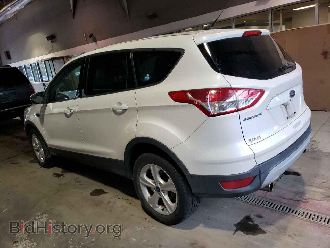 2013 FORD ESCAPE - VIN: 1FMCU0GX4DUB29325 - Фото 2