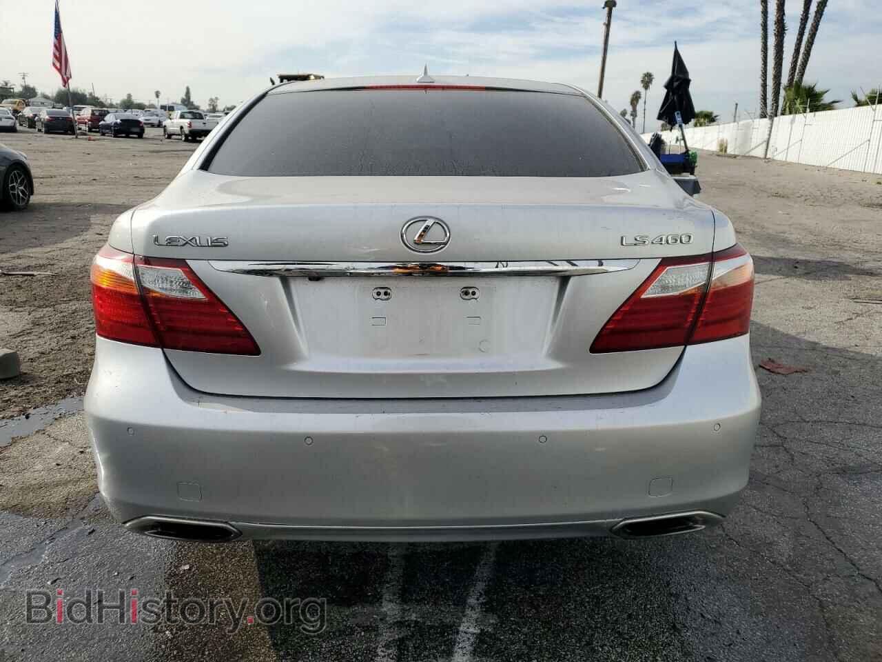 2010 LEXUS LS460 - VIN: JTHBL5EF8A5100215 - Фото 6