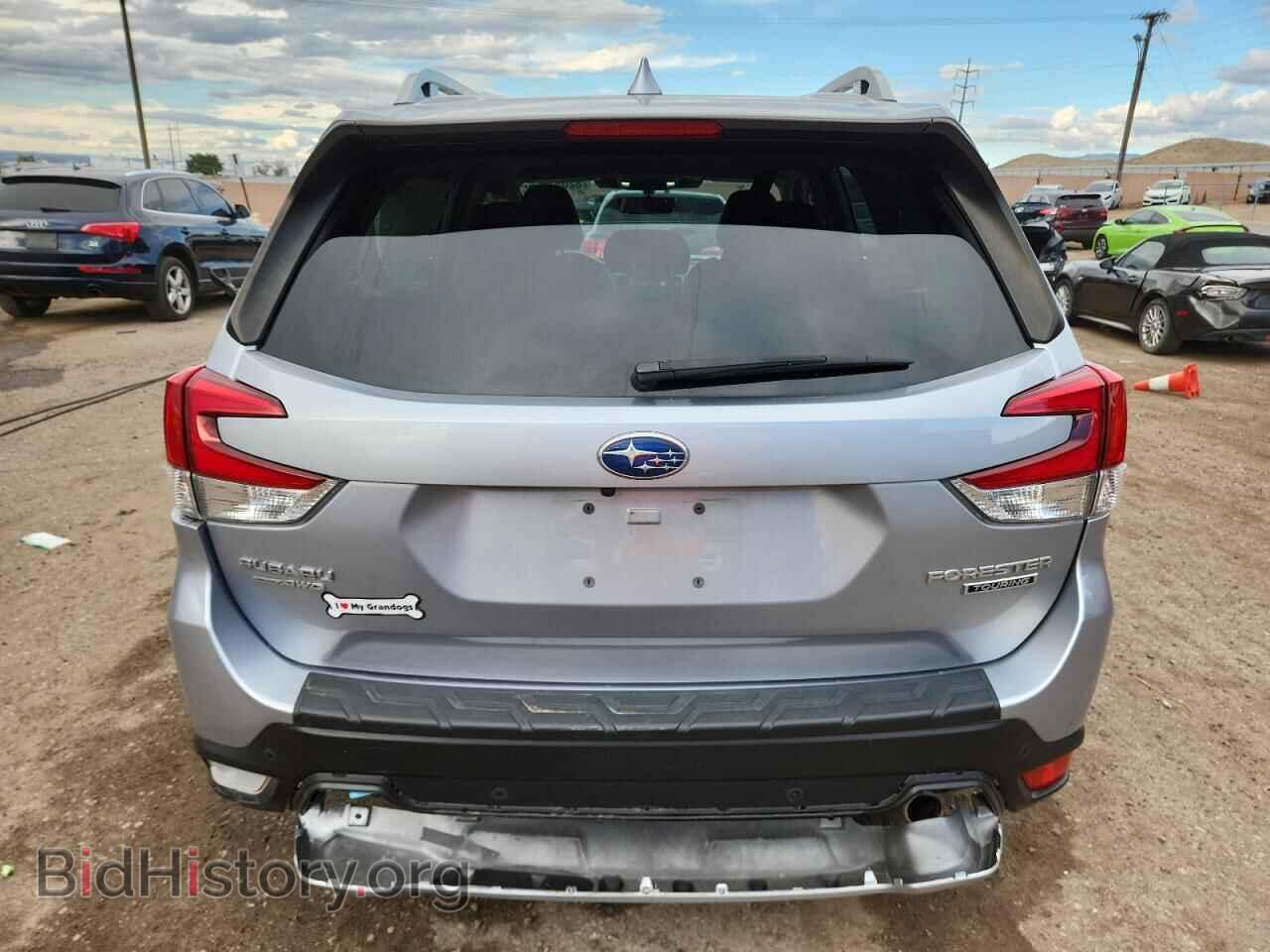 2023 SUBARU FORESTER - VIN: JF2SKARC4PH484418 - Фото 6