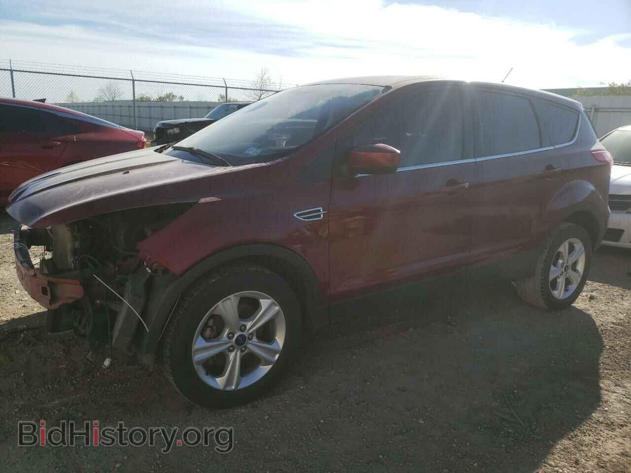 Фотография 1FMCU0GX5EUB28931 - FORD ESCAPE 2014