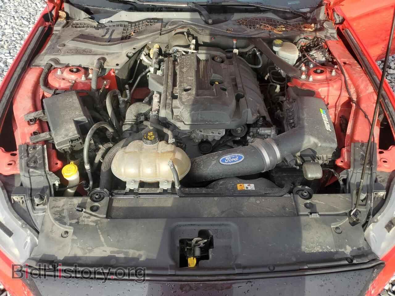 2017 FORD ALL Models - VIN: 1FA6P8TH1H5263589 - Фото 11