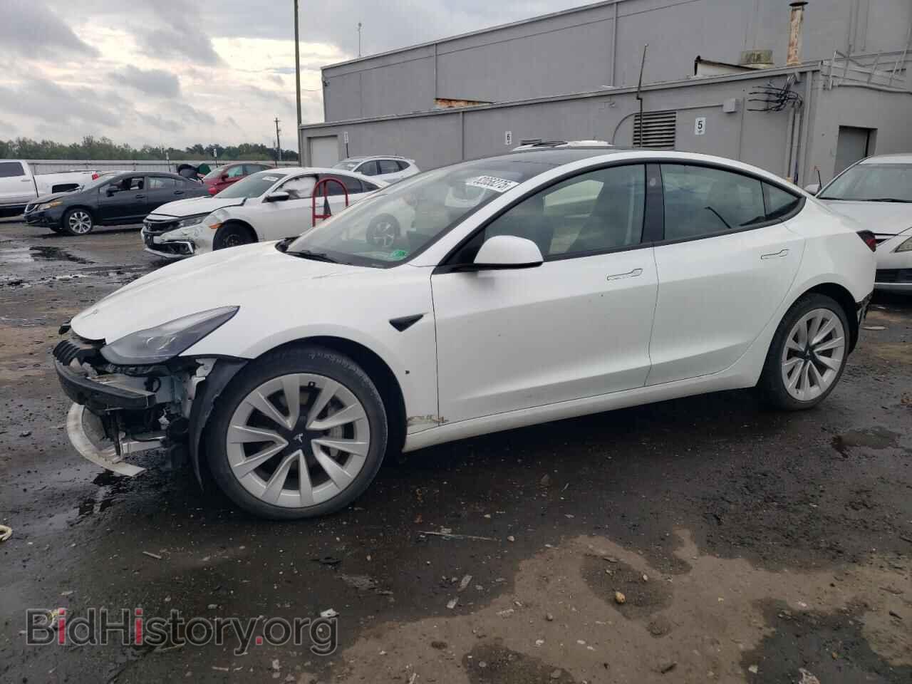 Photo 5YJ3E1EA3PF430798 - TESLA MODEL 3 2023