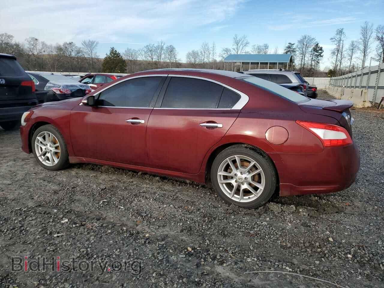 2009 NISSAN MAXIMA - VIN: 1N4AA51E39C846410 - Фото 2