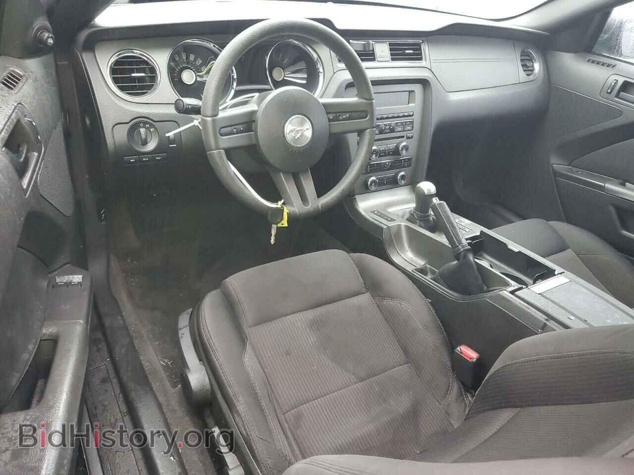 2011 FORD ALL Models - VIN: 1ZVBP8AM5B5152363 - Фото 8