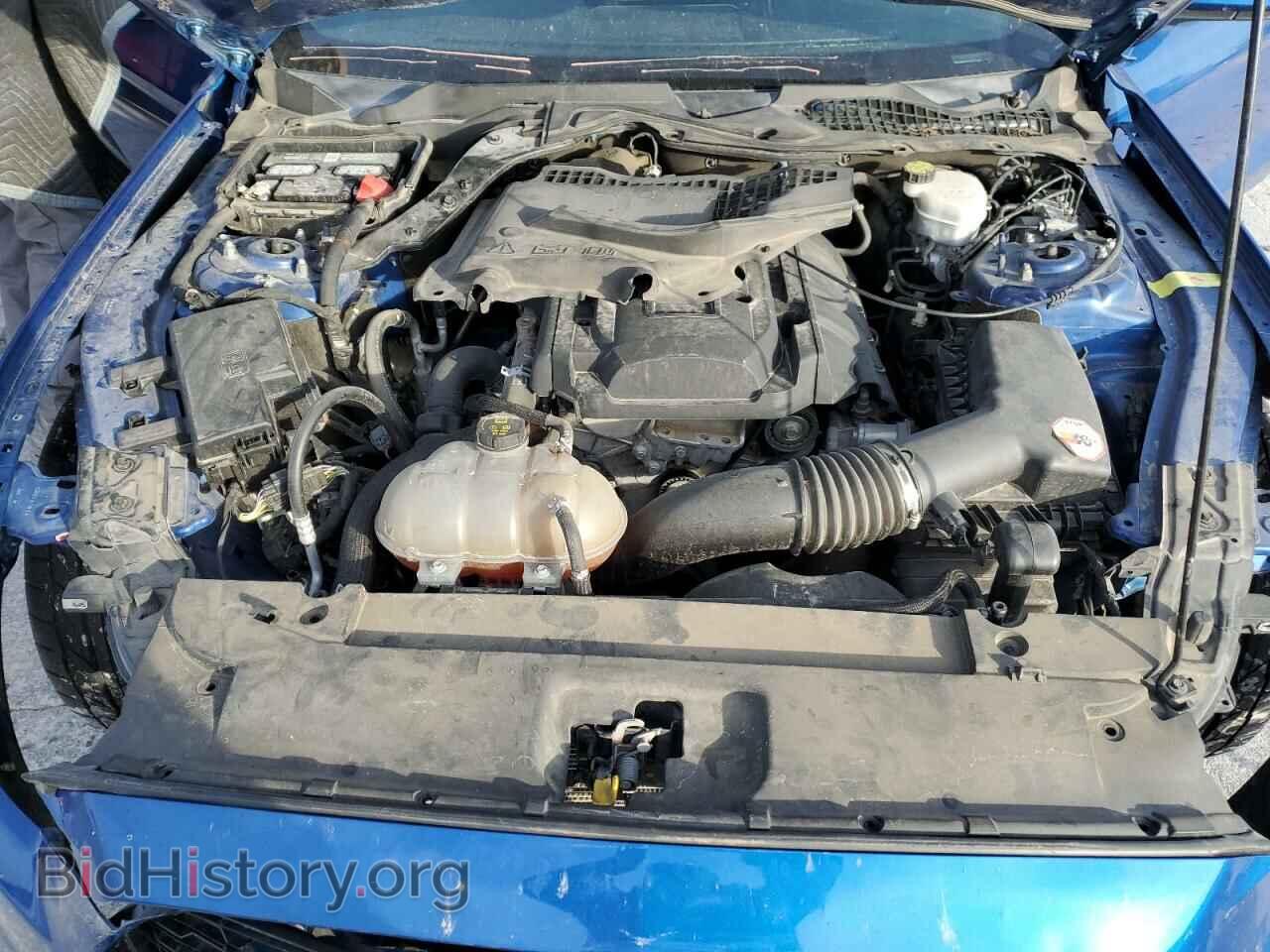 2017 FORD ALL Models - VIN: 1FA6P8TH2H5259759 - Photo 11