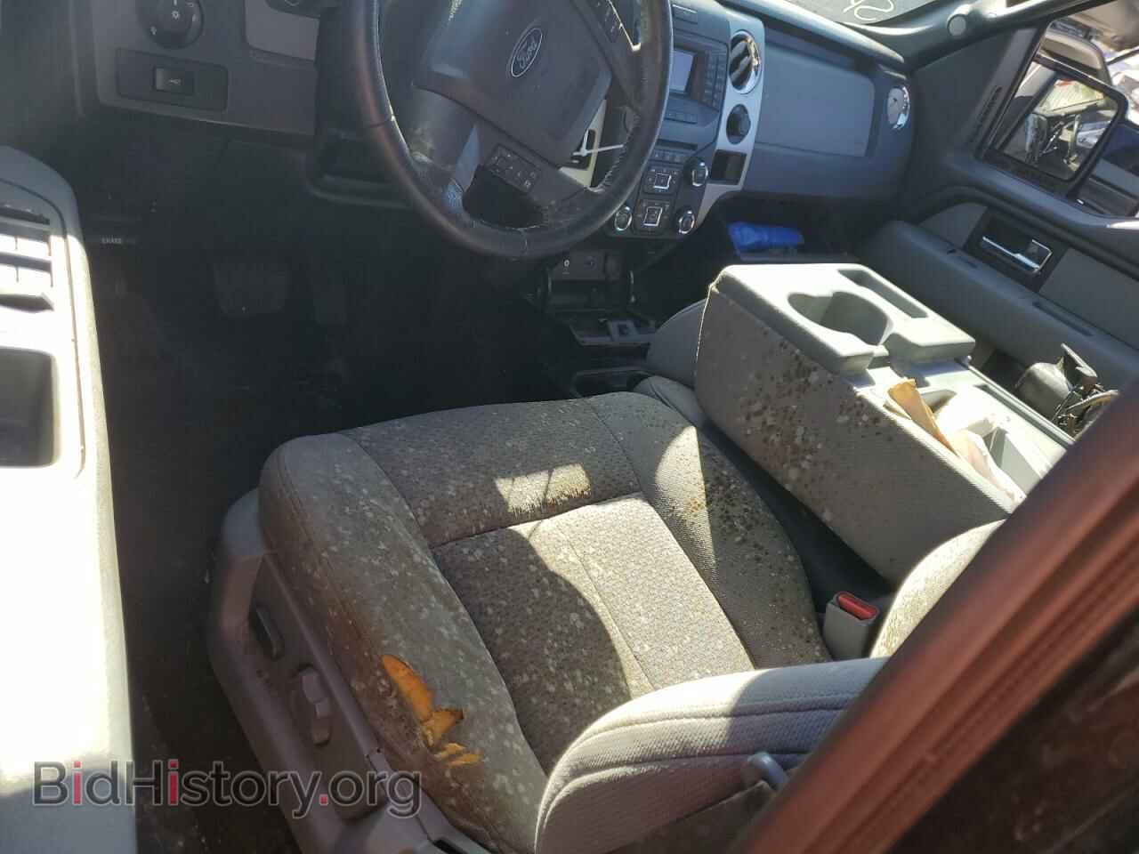 2013 FORD F-150 - VIN: 1FTFW1CF4DFB61629 - Фото 8